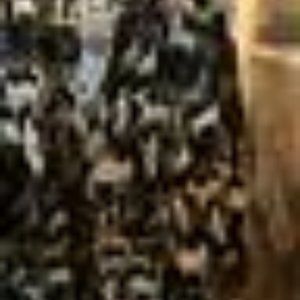 Gorgeous Bravo African Print coat